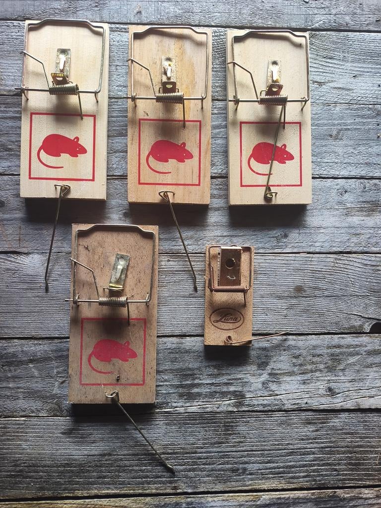 Grote set houten muizenvallen – klassieke rattenvallen (lot), Ophalen