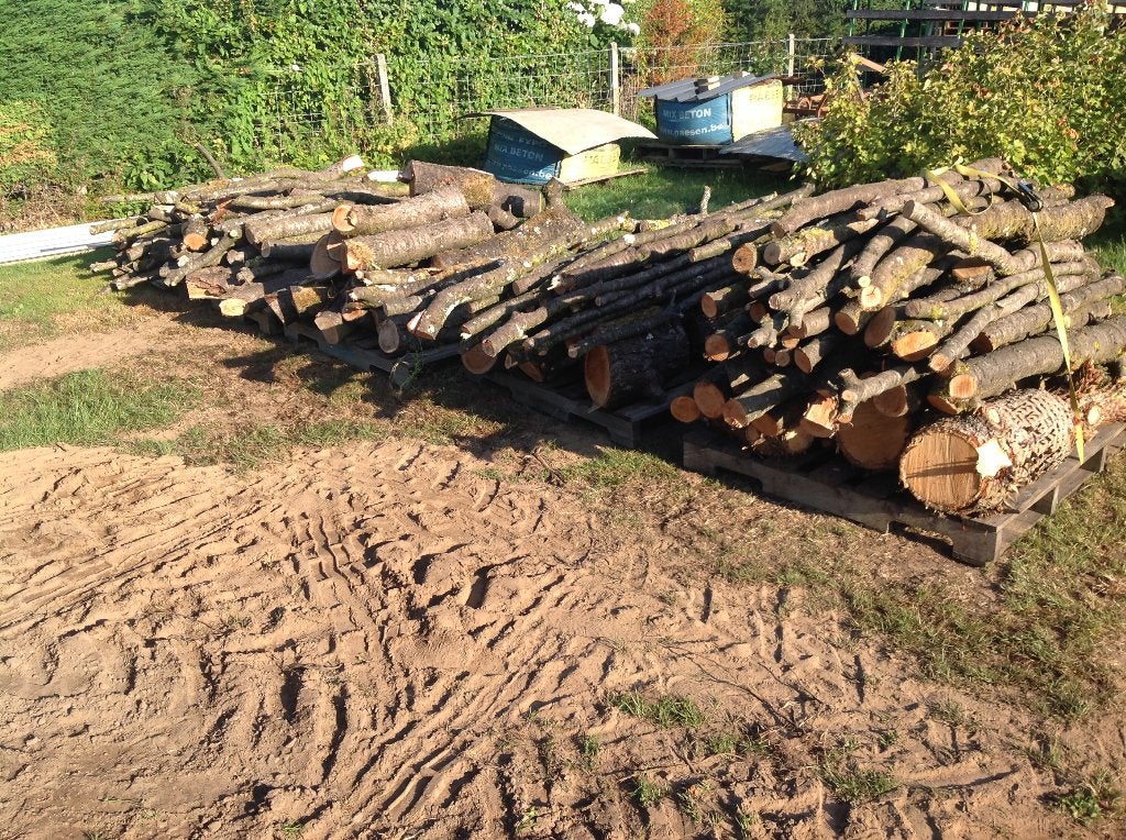 Stookhout, 3 tot 6 m³, Ophalen, Overige houtsoorten, Takken