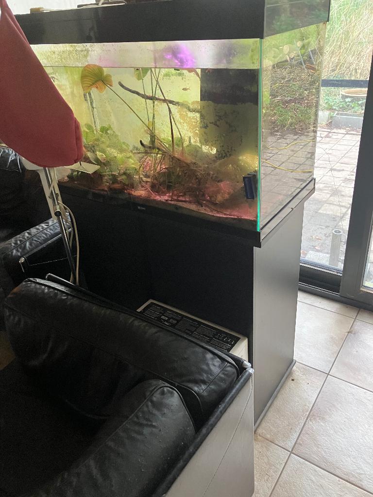 Aquarium, Dieren en Toebehoren, Ophalen, Gebruikt, Plant(en), Steen of Hout