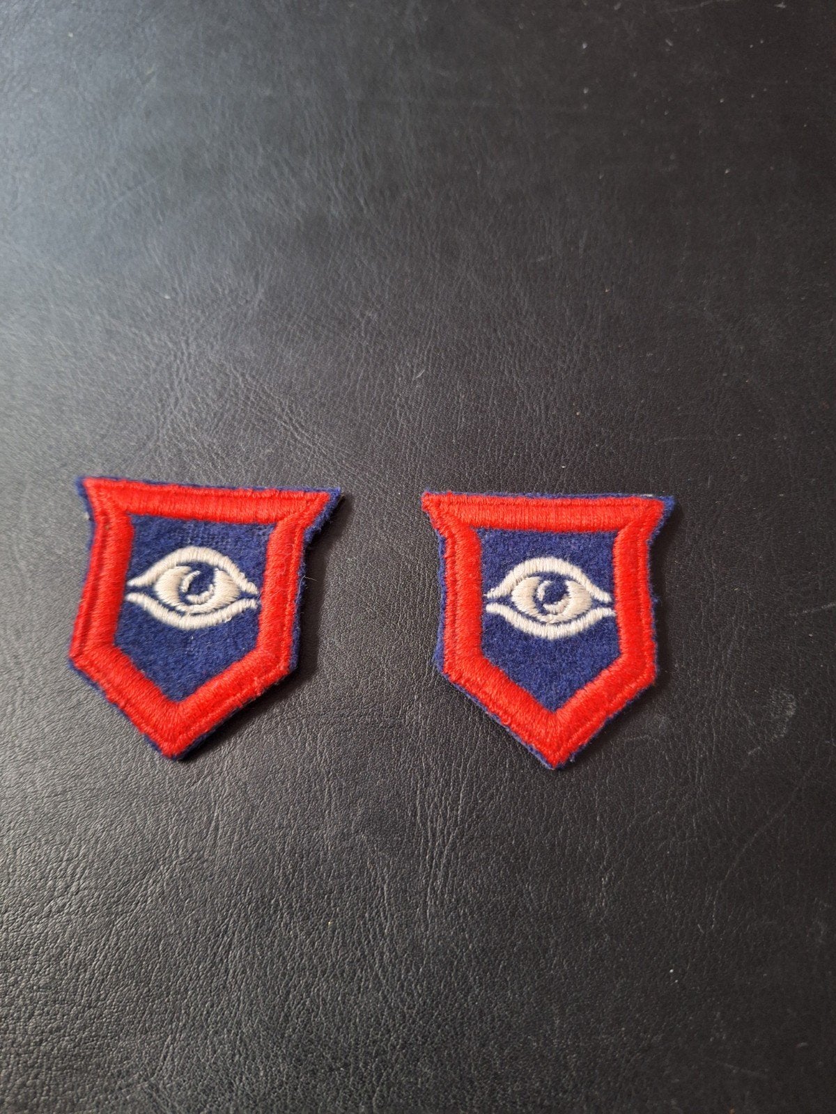 paire insignes anglais armored guards