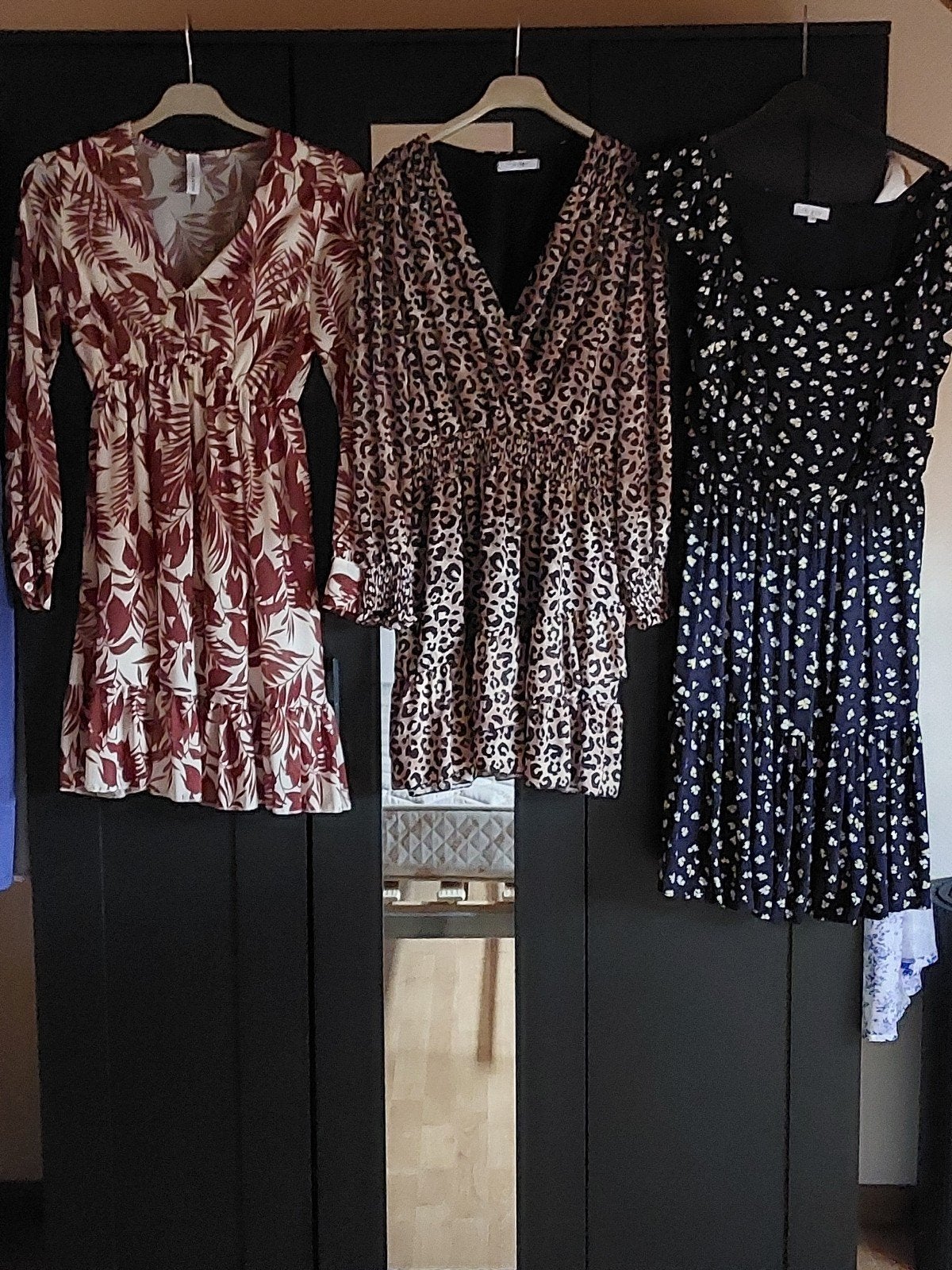 Kleedjes voor Dames, Enlèvement
