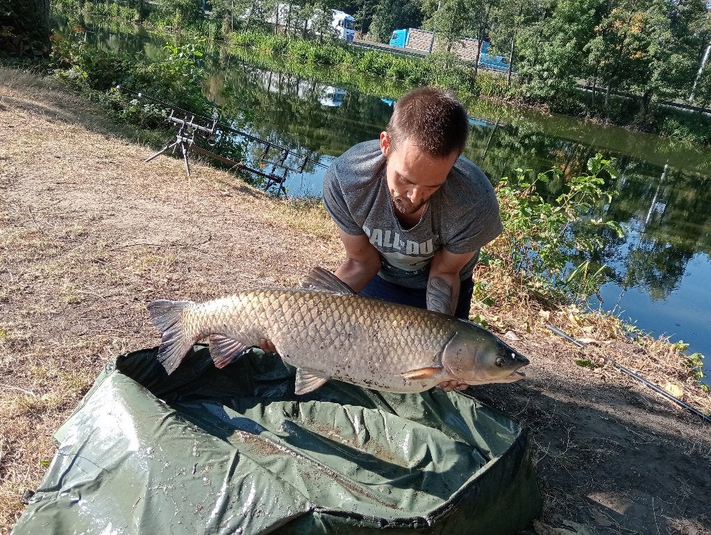 karpervissen privevijver, Ophalen, Nieuw, Overige typen