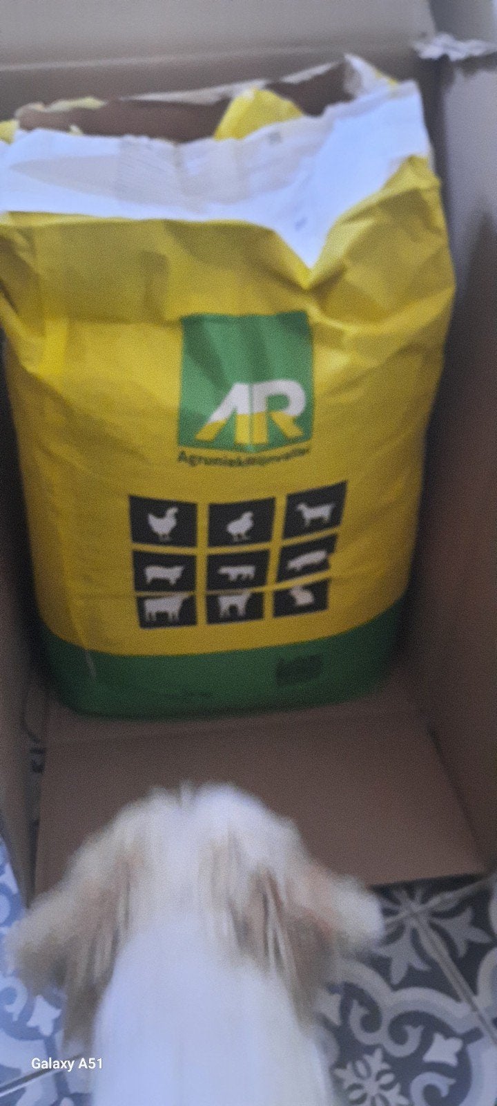 kuiken voeding opfokmeel mix 20 kg, Animaux & Accessoires, Nourriture pour Animaux, Enlèvement, Volaille