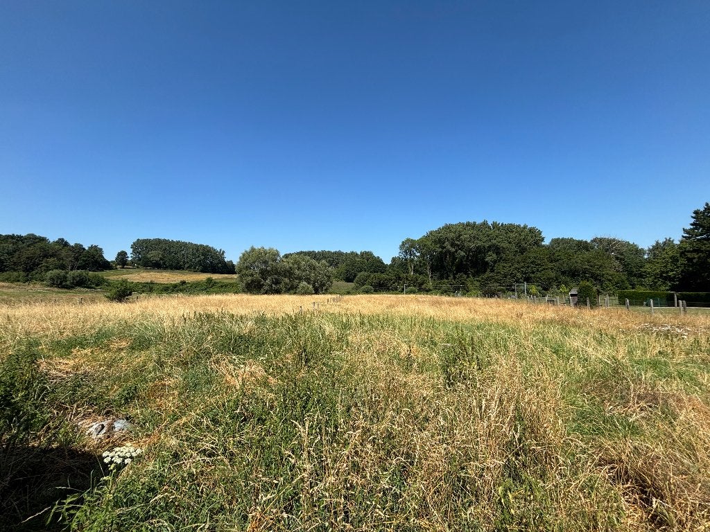 Weide te huur om te grazen – ca. 50 are (5.000 m²)