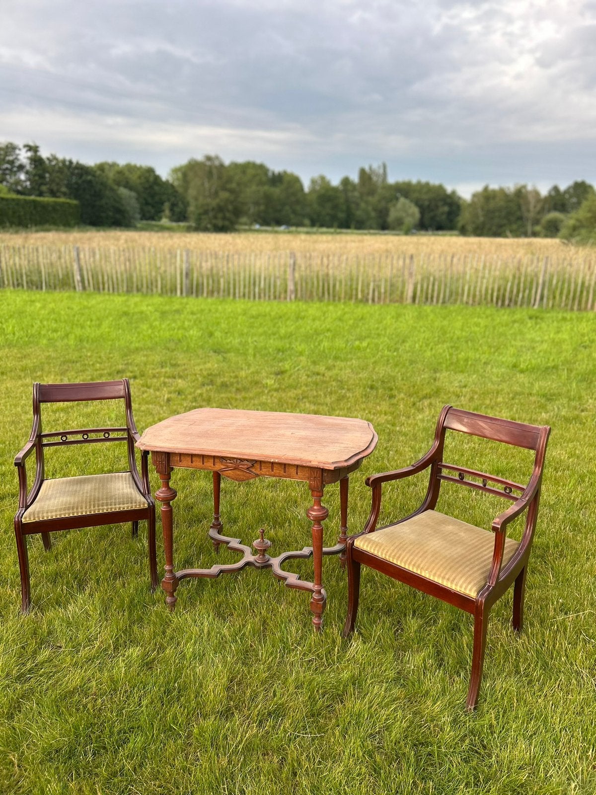 Antieke stoelen + tafel, Ophalen