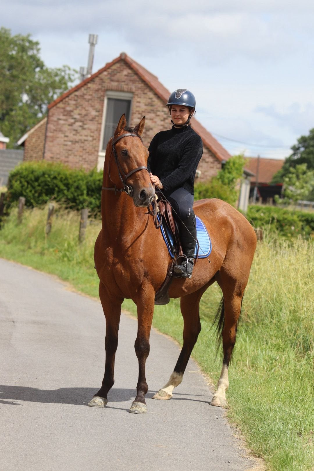 Droompaard voor jong en oud – een schat van een paard!, Dieren en Toebehoren, Ruin