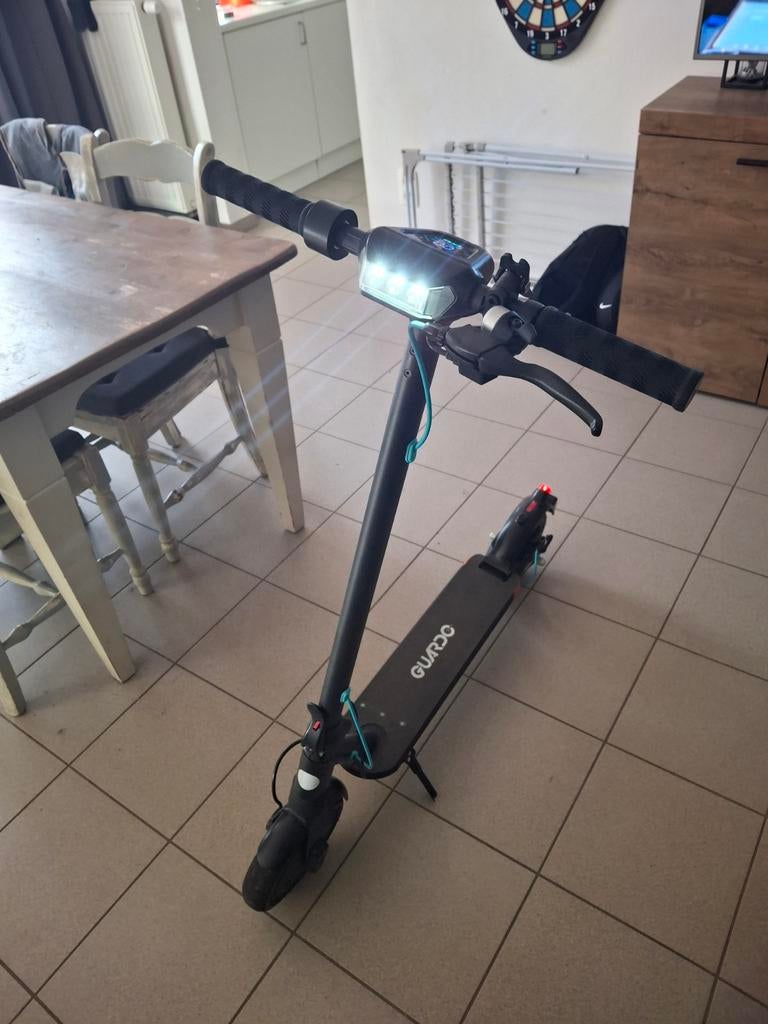 E step guardo, Enlèvement