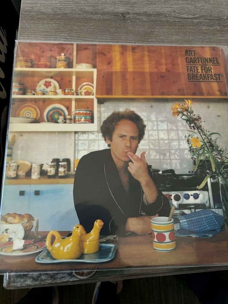 lp, Art Garfunkel, fate for breakfast, slechts 3 euro., CD & DVD, Vinyles | Pop, Enlèvement ou Envoi, Comme neuf, Housse de protection extérieure