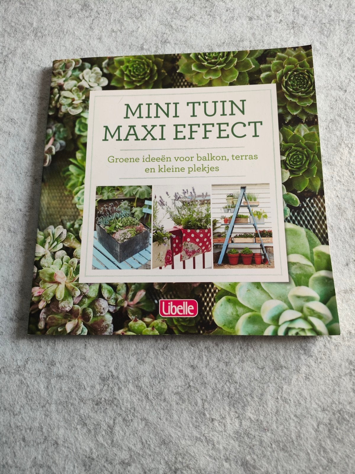 Mini tuin, maxi effect (Libelle), Ophalen, Zo goed als nieuw, Libelle, Overige soorten