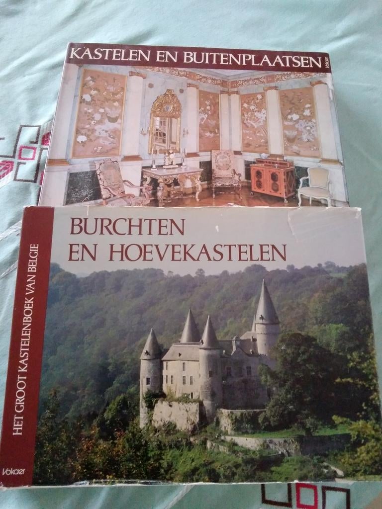 Het Groot Kastelenboek van België (2 delen), Livres, Art & Culture | Architecture, Enlèvement