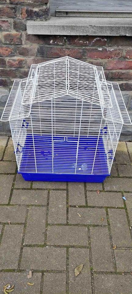 Cage a oiseaux, Enlèvement