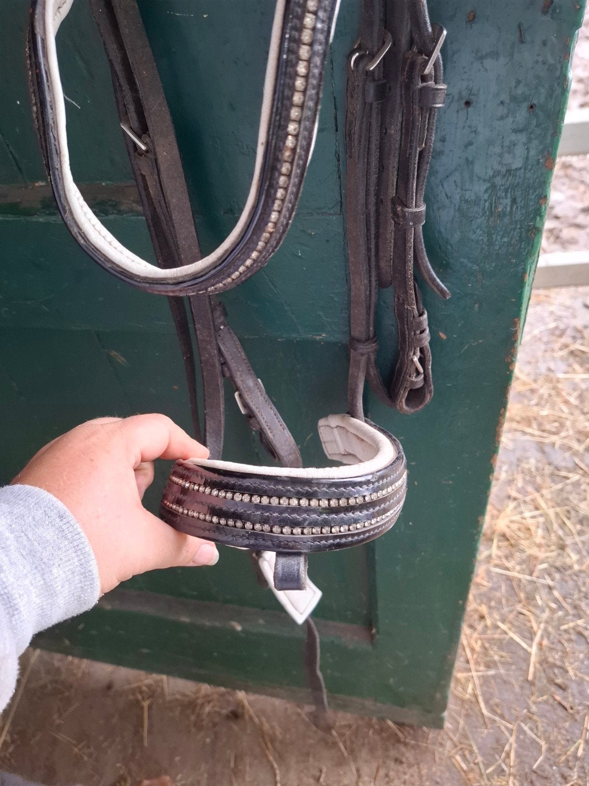 hoofdstel, Dieren en Toebehoren, Ophalen, Hoofdstel, Cob