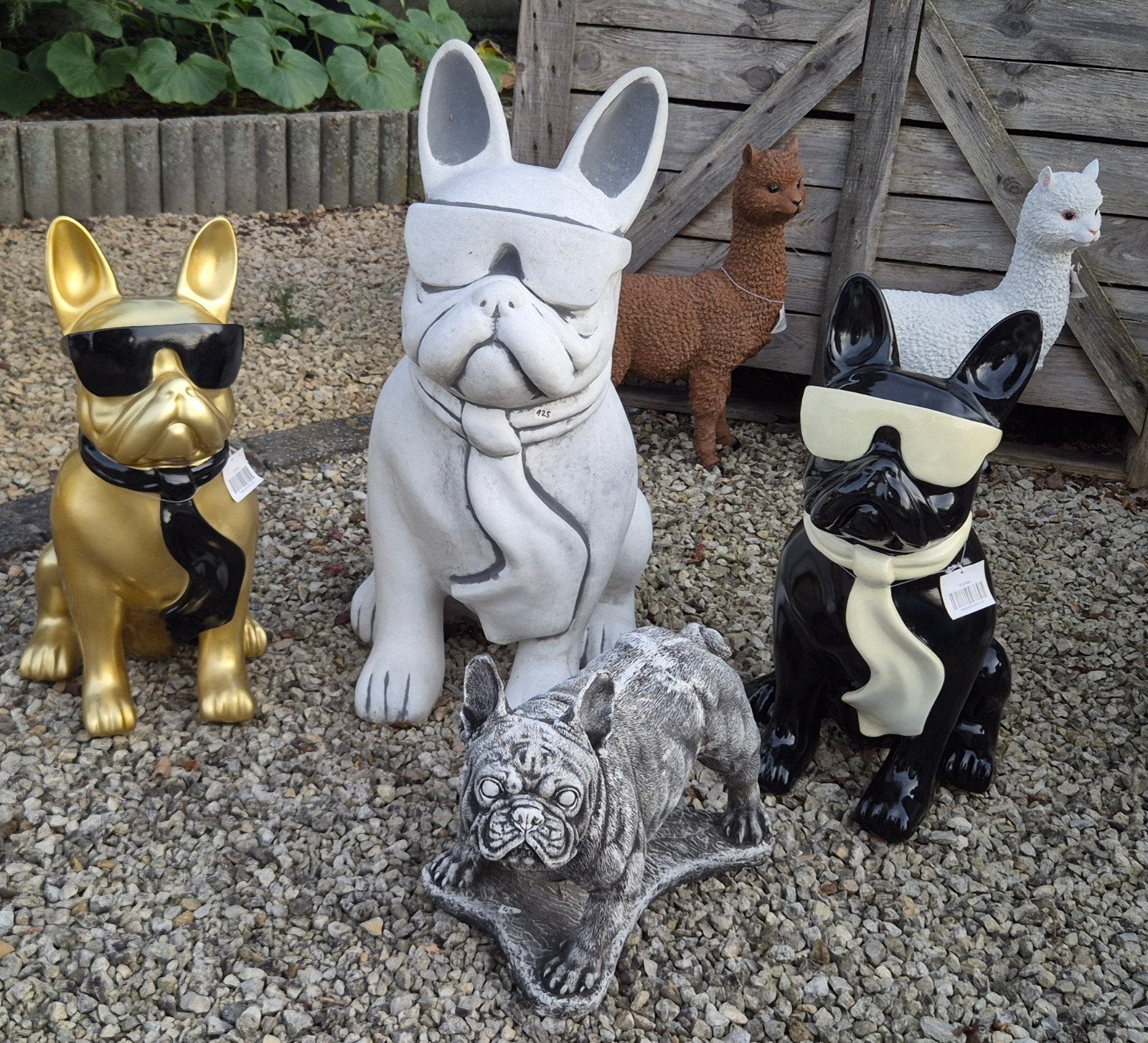 verschillende franse bulldog beelden, Tuin en Terras, Ophalen, Nieuw, Kunststof, Dierenbeeld