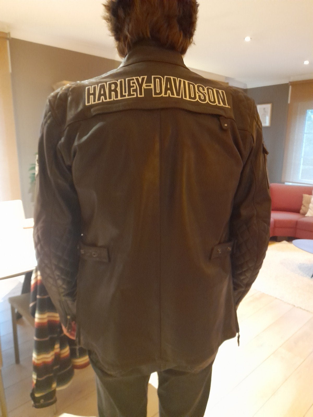 Motojas Harley Davidson, Motoren, Ophalen