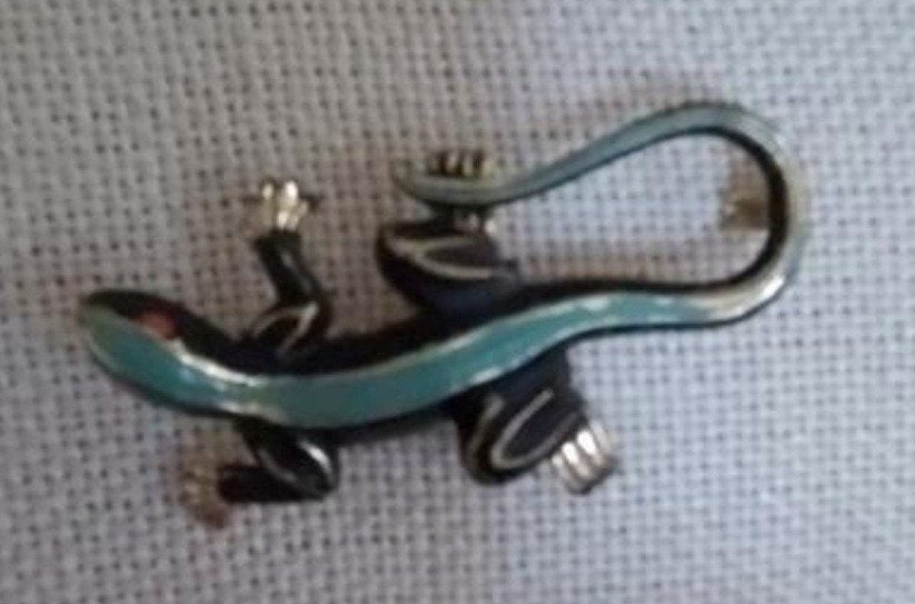 Vintage broche salamander..stukje lak af, Handtassen en Accessoires, Ophalen of Verzenden, Overige materialen, Broche