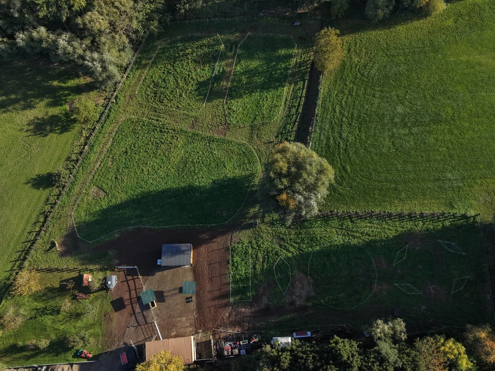 paddock paradise - weide - strijtem (Roosdaal)