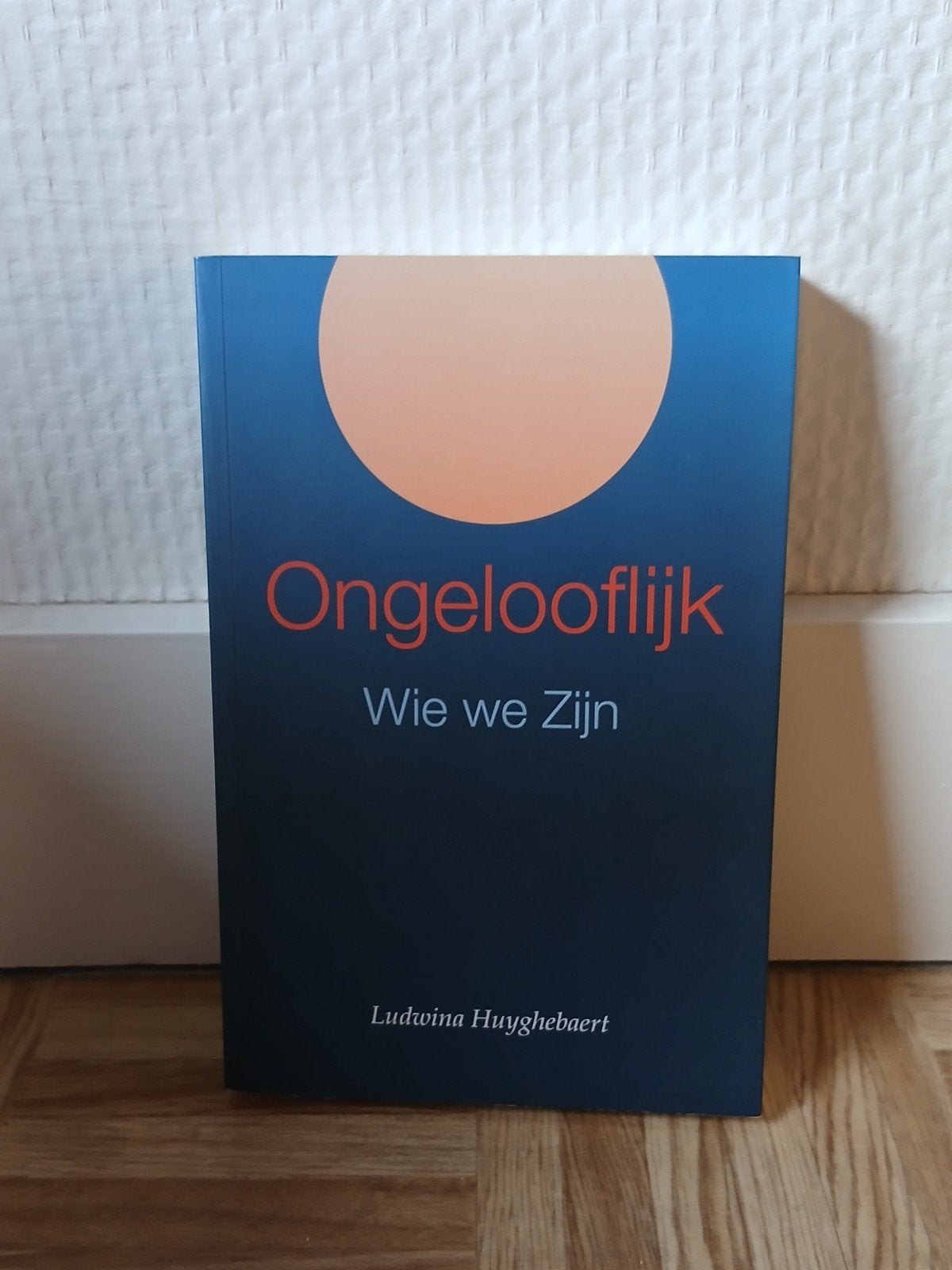 Ludwina Huyghebaert - Ongelooflijk, Spiritualiteit algemeen, Overige typen, Ludwina Huyghebaert, Ophalen of Verzenden