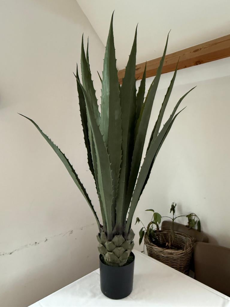 Kunstplant, Enlèvement, Comme neuf, Plante artificielle, Intérieur