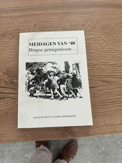 meidagen van '40 brugse getuigenissen West vlaamse, Boeken, Ophalen of Verzenden, Zo goed als nieuw, Overige onderwerpen
