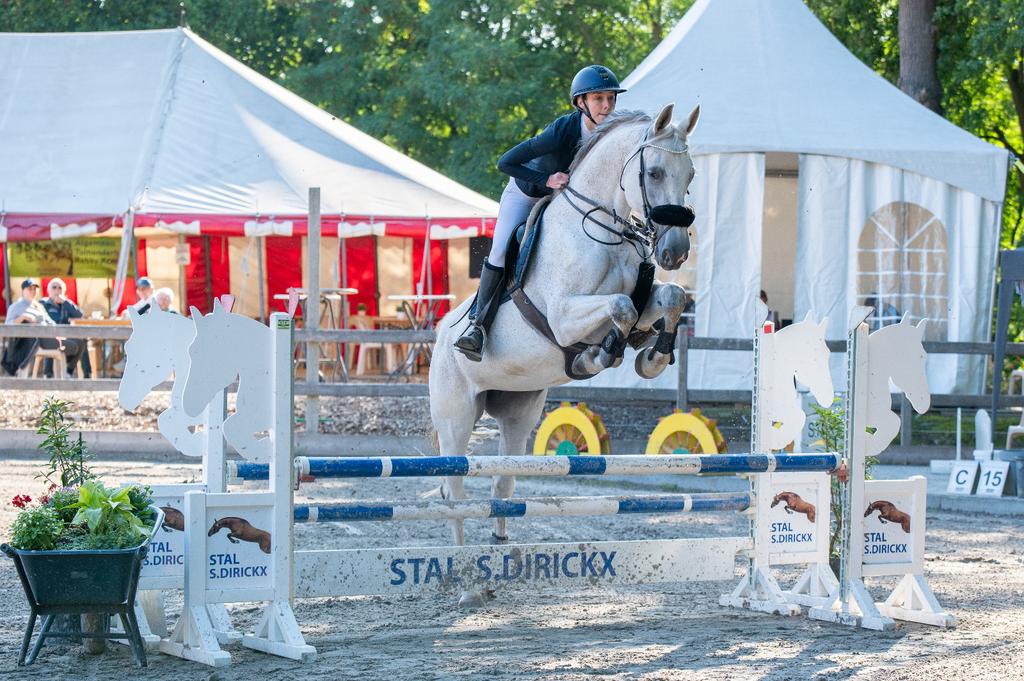 Springmerrie uit 2010, Dieren en Toebehoren, Merrie, Springpaard, Met stamboom, M