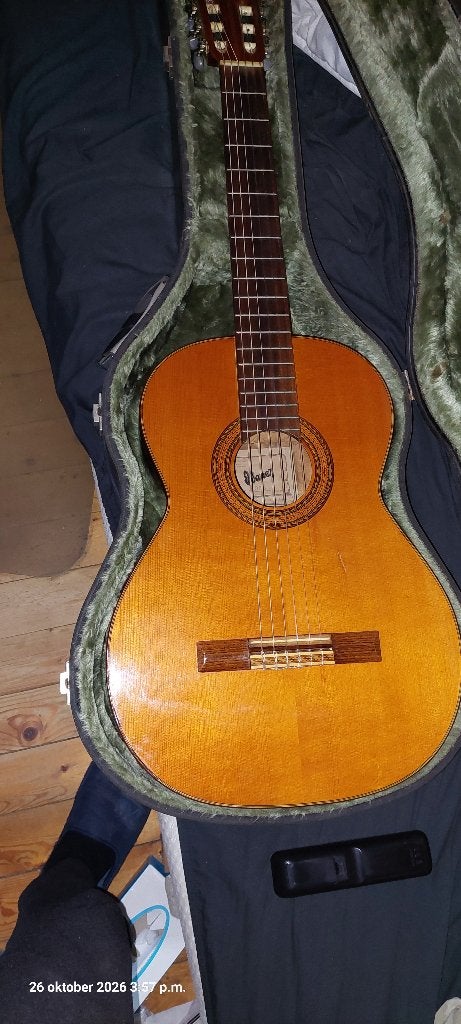 gitaar ibanez 1970, Muziek en Instrumenten, Ophalen, Gebruikt, Klassieke of Spaanse gitaar, Met koffer
