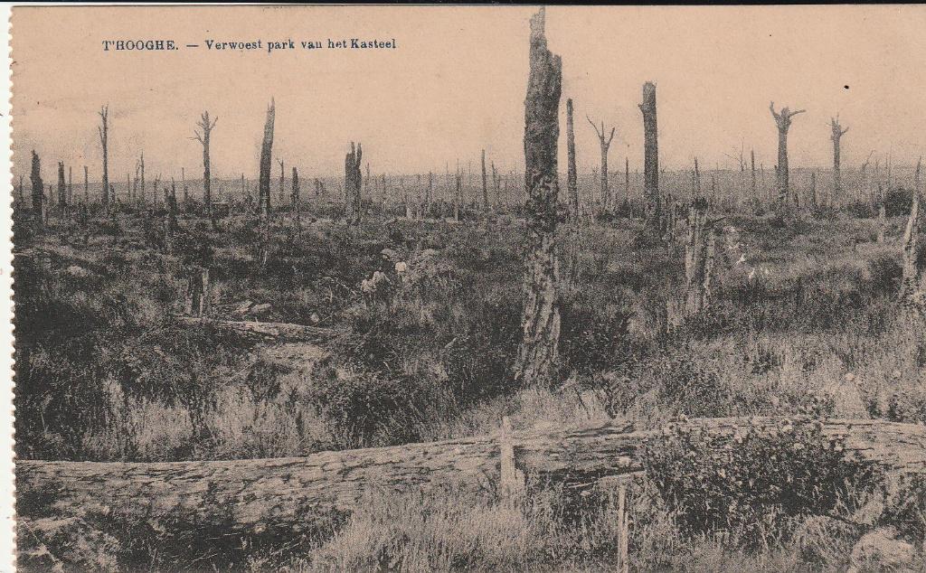Zillebeke, T'Hooghe, Verzenden