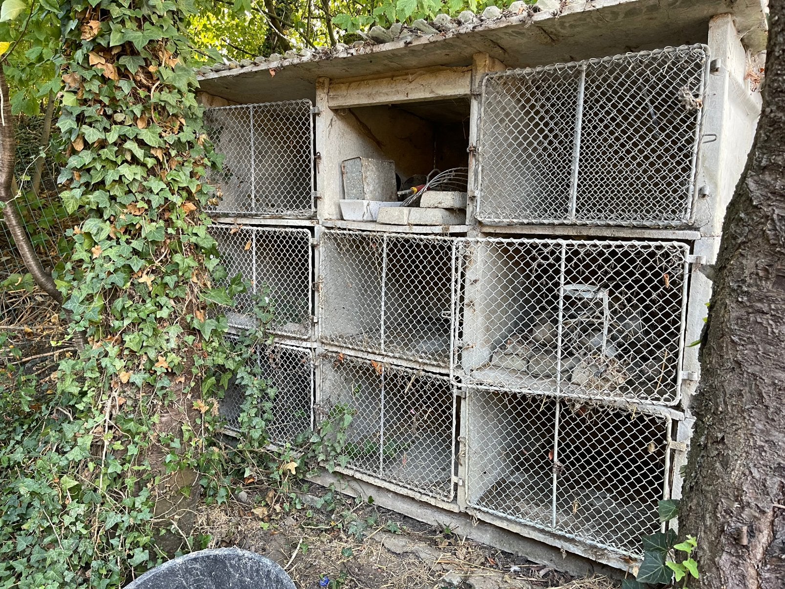 9 clapiers en beton avec mangeoires, Ophalen, Zo goed als nieuw, Konijn