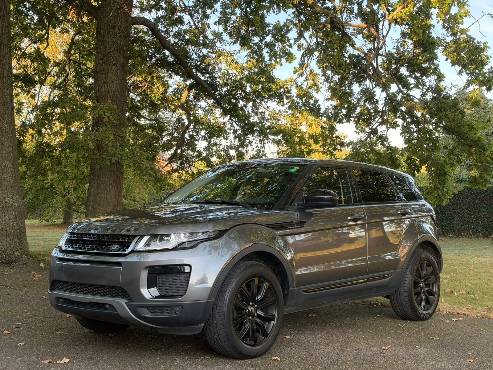 Land Rover Range Rover Evoque 2.0 TD4 AWD homologué PANO pou, Cuir, Achat, Noir, Diesel