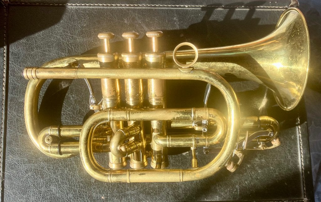 Wilson Cornet, Enlèvement ou Envoi, Utilisé, Trompette en si bémol, Avec valise