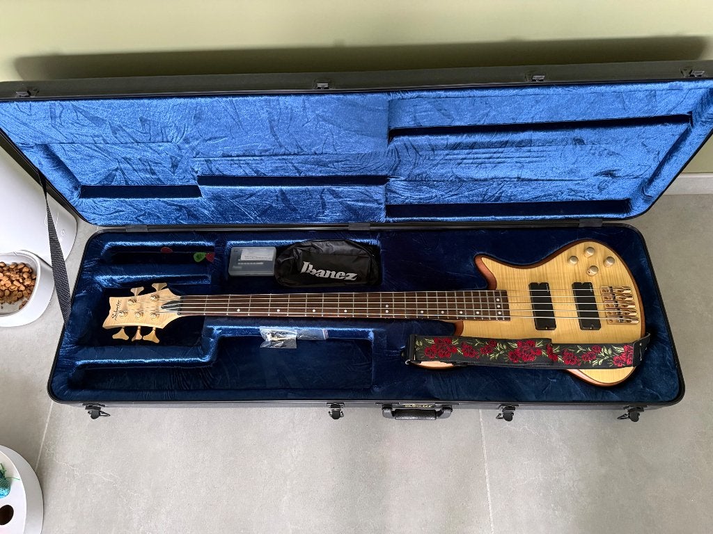 SCHECTER DIAMOND SERIES STILETTO CUSTOM 5 BASS (Incl. Case), Musique & Instruments, Enlèvement, Comme neuf, Électrique, 5 cordes