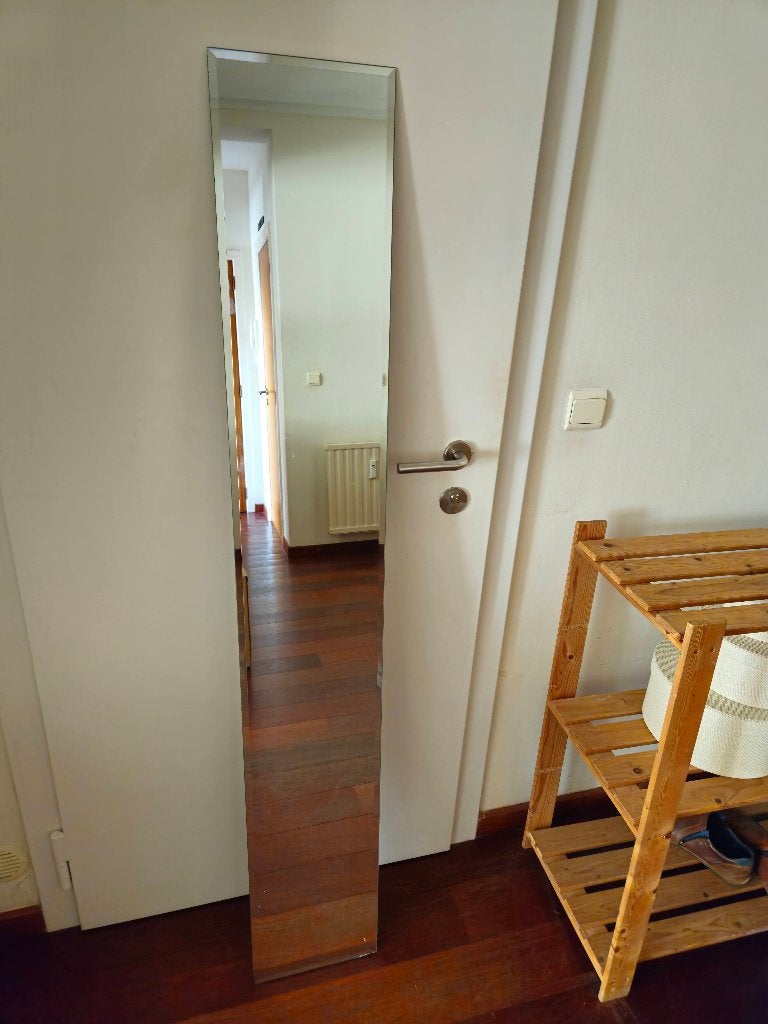 Verticale wandspiegel met afgeschuinde randen - 165 / 26 cm, Ophalen, Minder dan 50 cm, Gebruikt, 150 tot 200 cm
