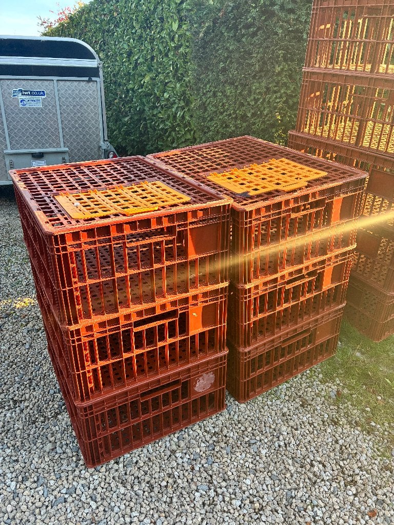 transportkist voor pluimvee - kippen, Dieren en Toebehoren, Ophalen, Zo goed als nieuw