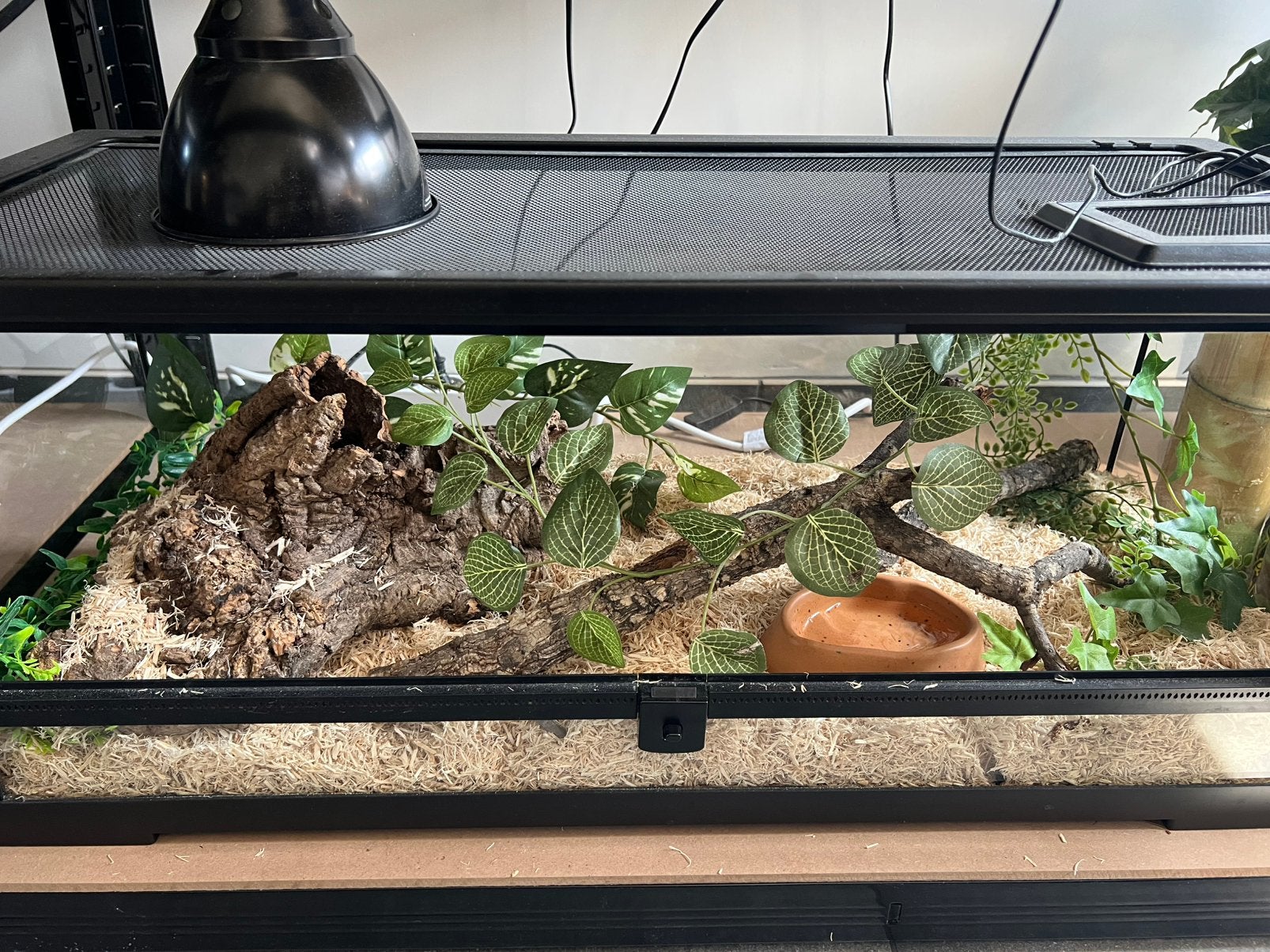 Haakneusslang met terrarium en toebehoren, Ophalen, Gebruikt