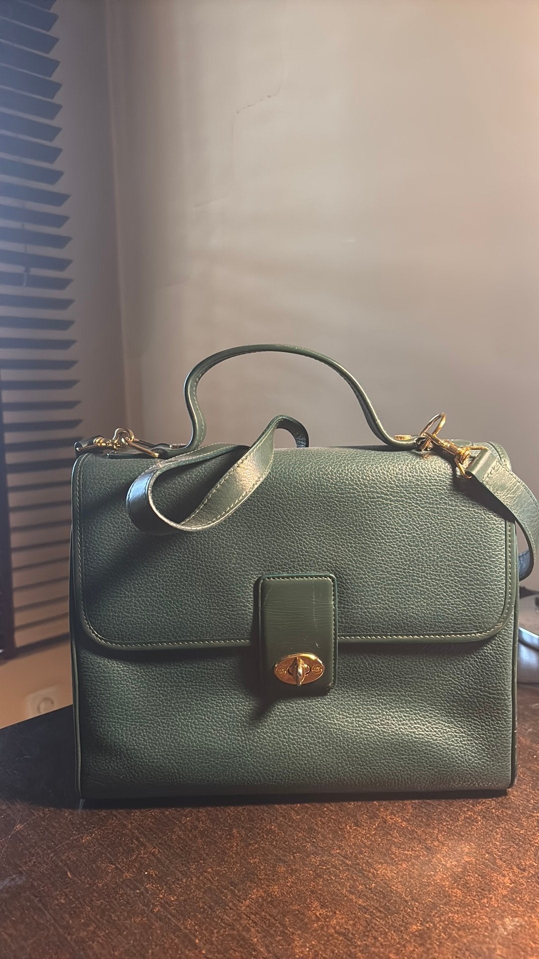Gucci leren tas, Handtassen en Accessoires, Ophalen of Verzenden, Zo goed als nieuw, Groen
