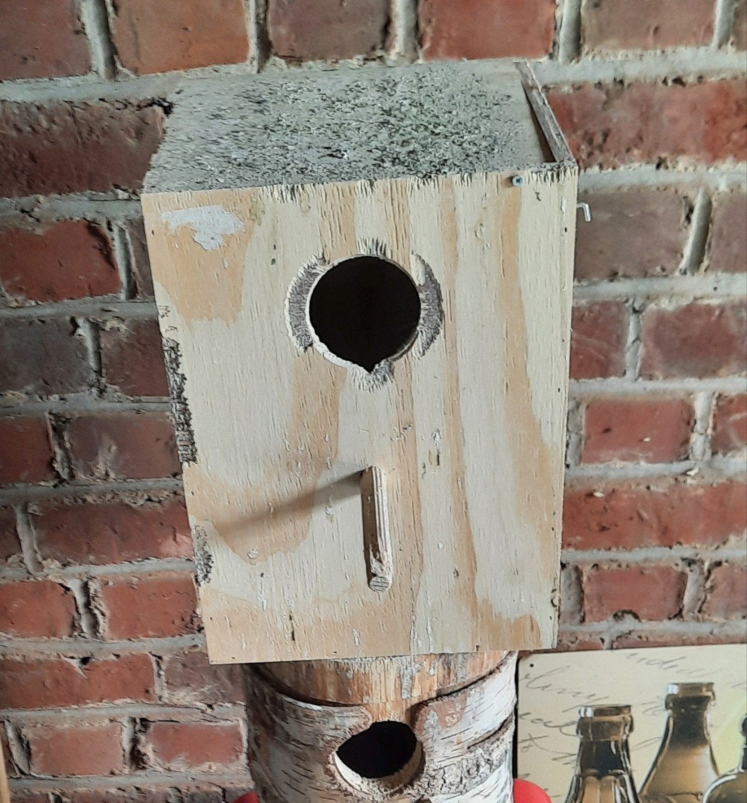 Broedblok valkparkieten gebruikt maar nog bruikbaar, Ophalen of Verzenden, Gebruikt