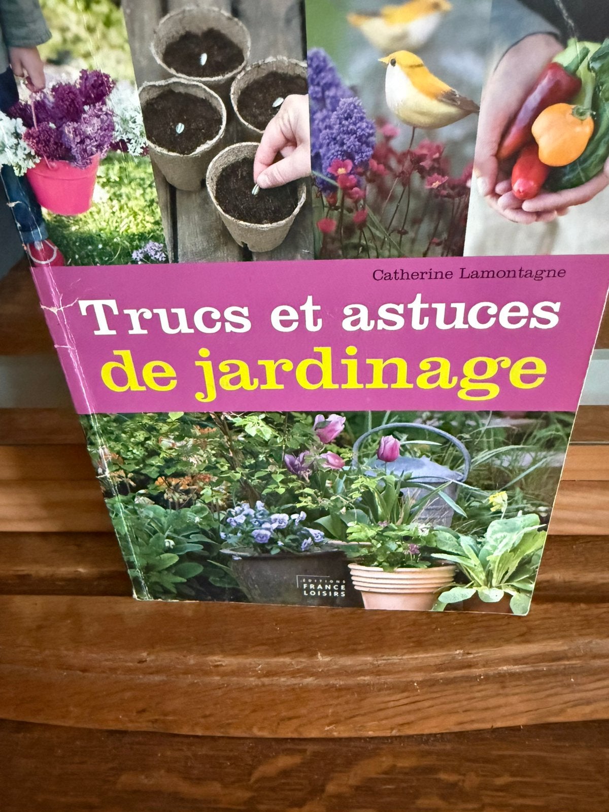 Trucs Et Astuces De Jardinage, Ophalen of Verzenden, Zo goed als nieuw, Overige soorten