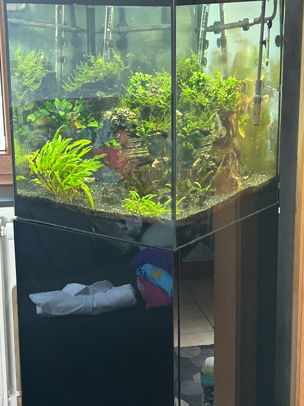 Aquarium de 135L de la marque aquael, Ophalen, Pomp, Overige merken, Gevuld zoetwateraquarium
