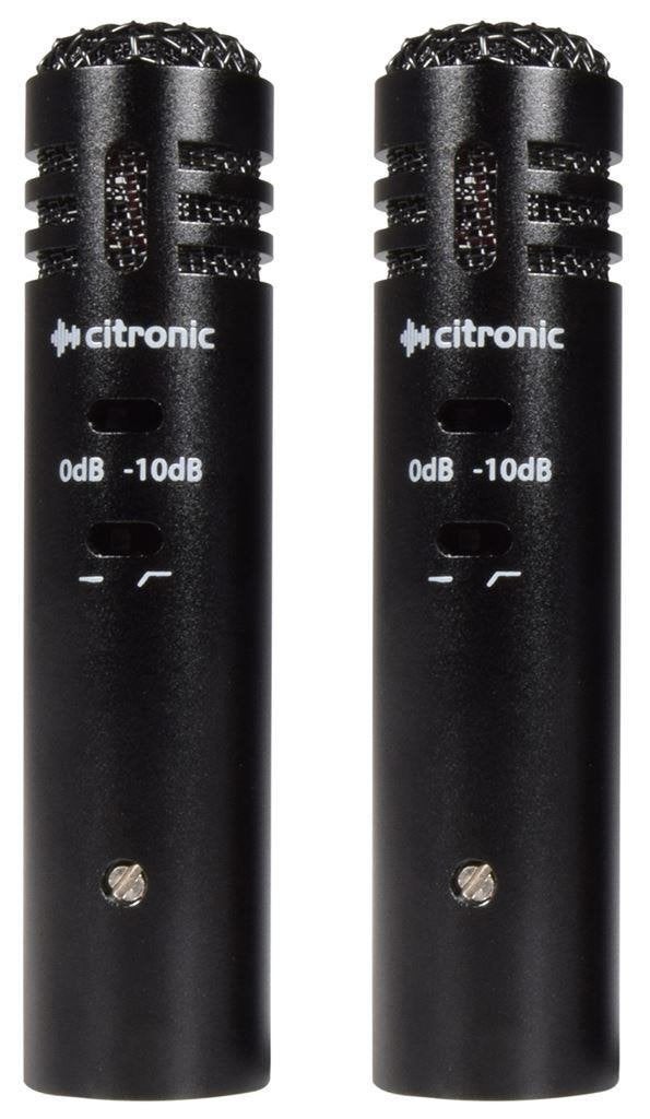 ECM20 Condensator microfoons Stereo - Set van twee, Muziek en Instrumenten, Microfoons, Ophalen of Verzenden, Nieuw