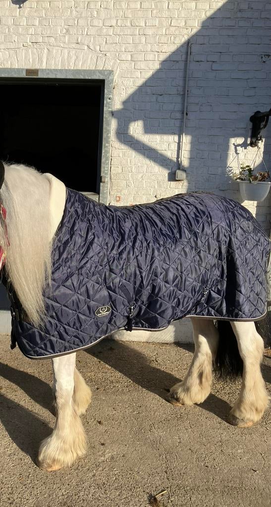 Staldeken, Dieren en Toebehoren, Ophalen of Verzenden, Zo goed als nieuw, Deken