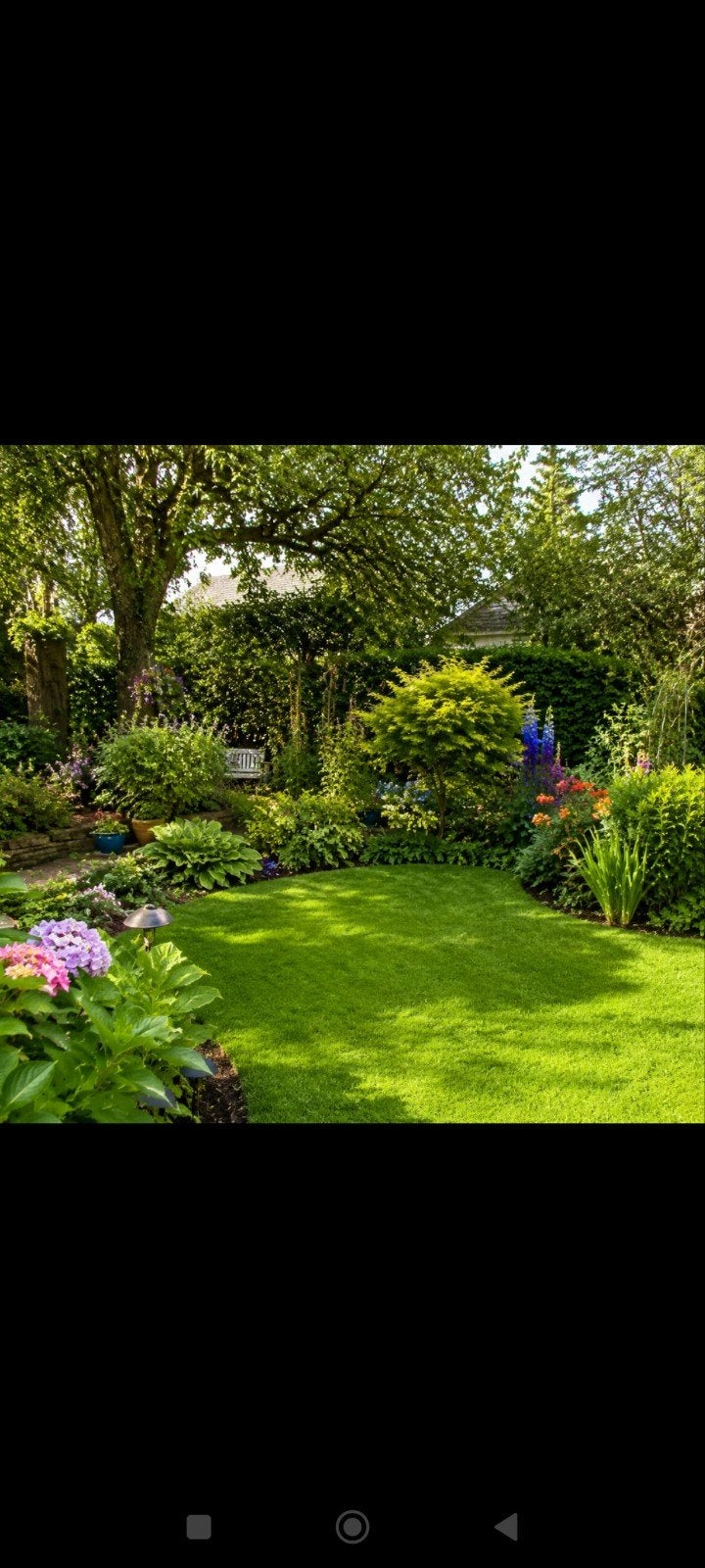 besoin de coupée les haies tondre votre jardin je suis dispo