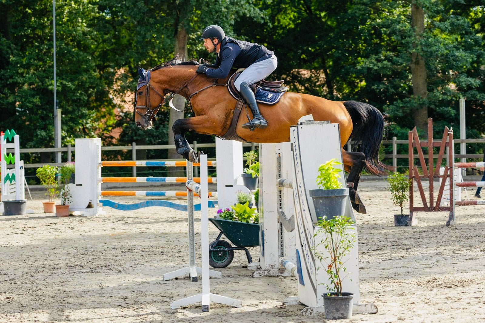 7 jarige merrie 130 springen veiling, Dieren en Toebehoren, Paarden, Merrie