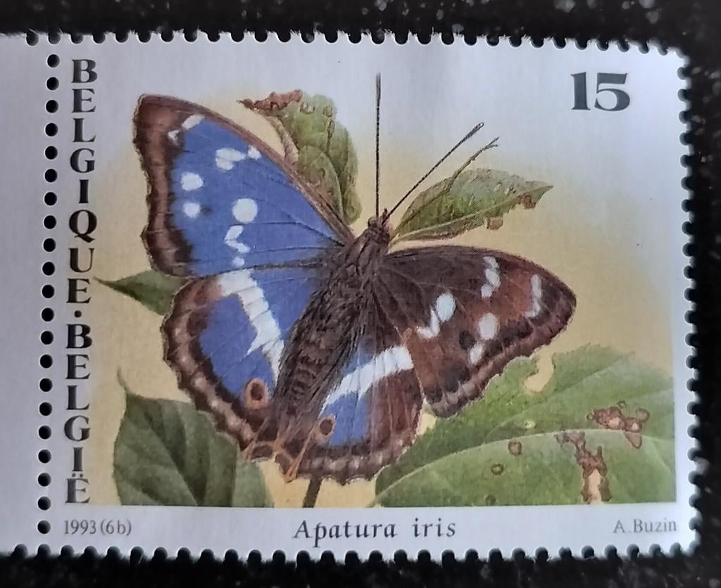 Timbre de Belgique non estampillé, Enlèvement ou Envoi