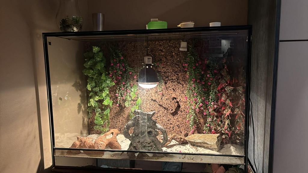 Grote terrarium 1m lang/71cm hoog/50cm breed, Ophalen