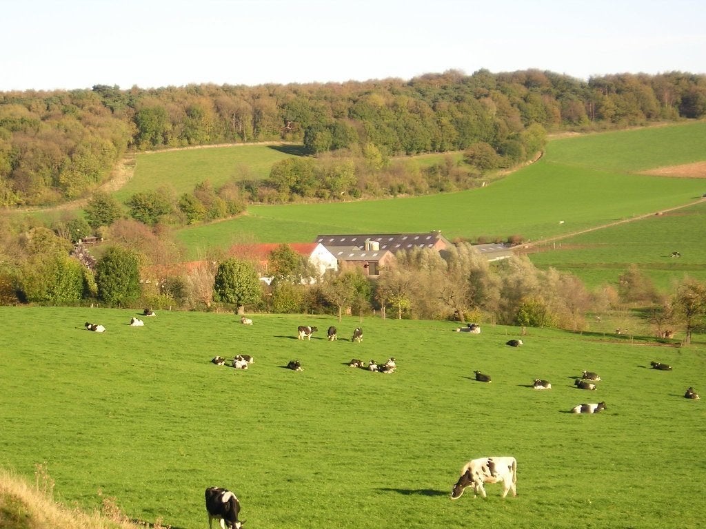 Vakantie appartement te huur langs de Gulp in de Voerstreek, Propriétaire, Campagne, Jardin, Appartement
