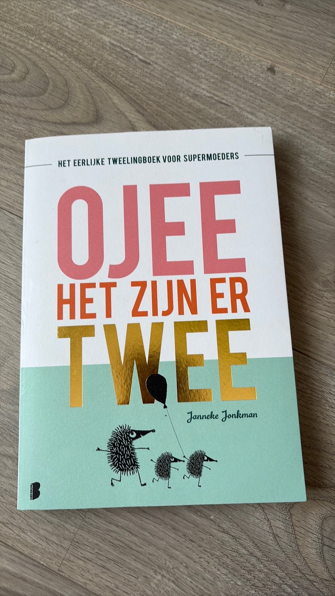 Ojee het zijn er twee, Livres, Grossesse & Éducation, Enlèvement ou Envoi, Comme neuf