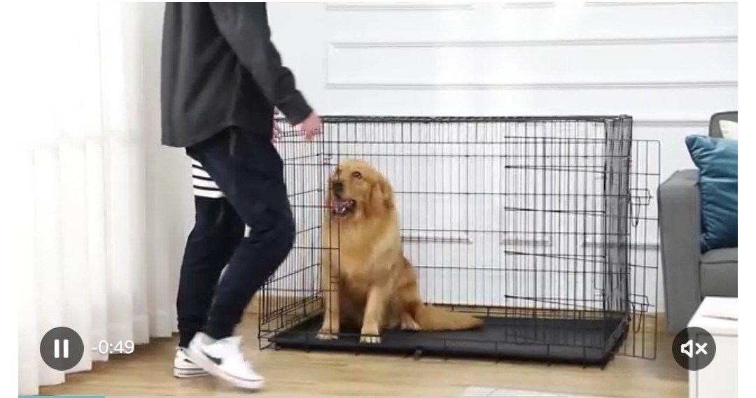 Cage chien XXL pliable, Animaux & Accessoires, Comme neuf, Enlèvement, 100 cm ou plus, Chenil chien