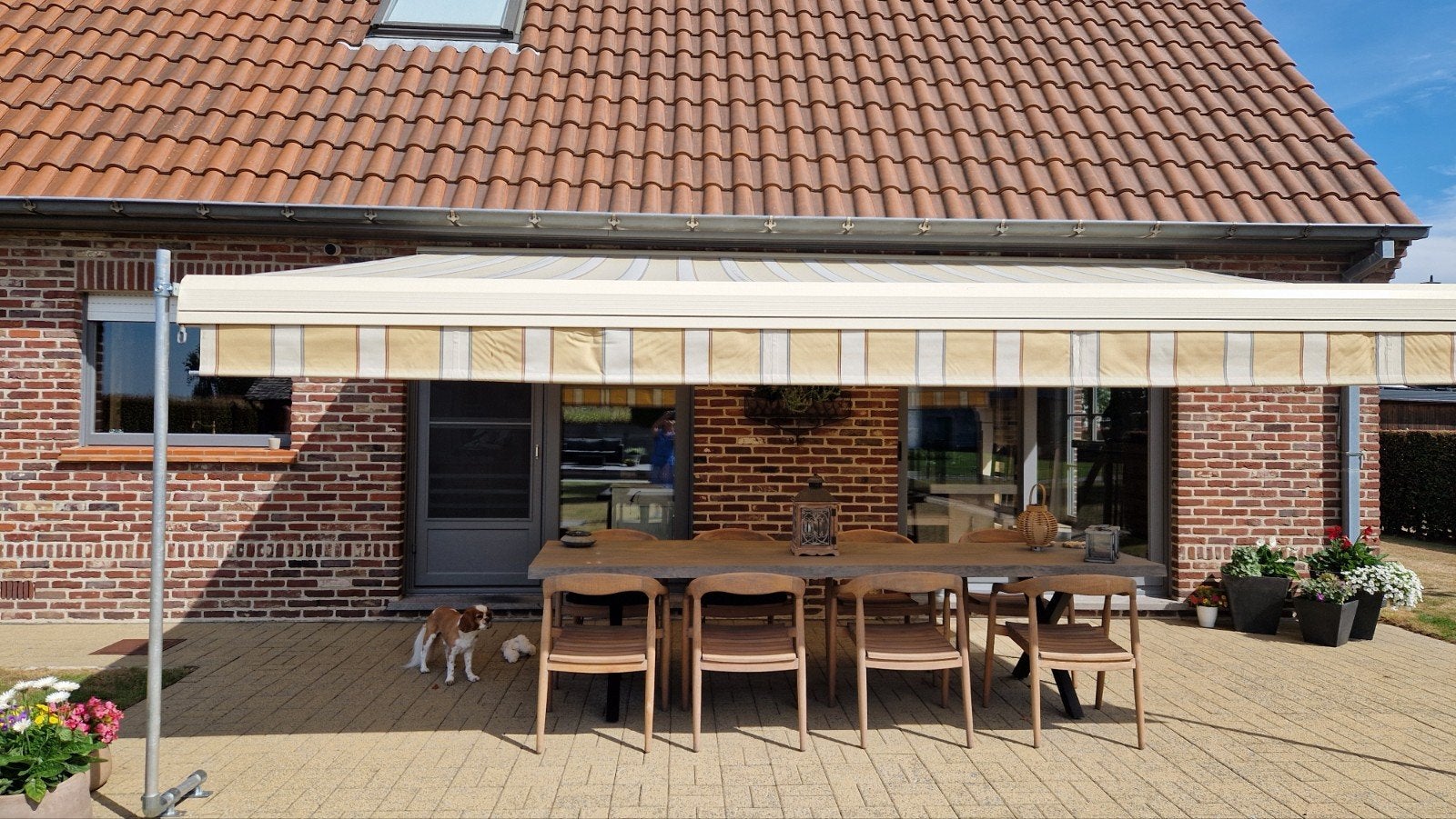 te koop 2e hands zonneluifel, Tuin en Terras, Zonneschermen, Ophalen, Gebruikt, 450 cm of meer, Elektrisch