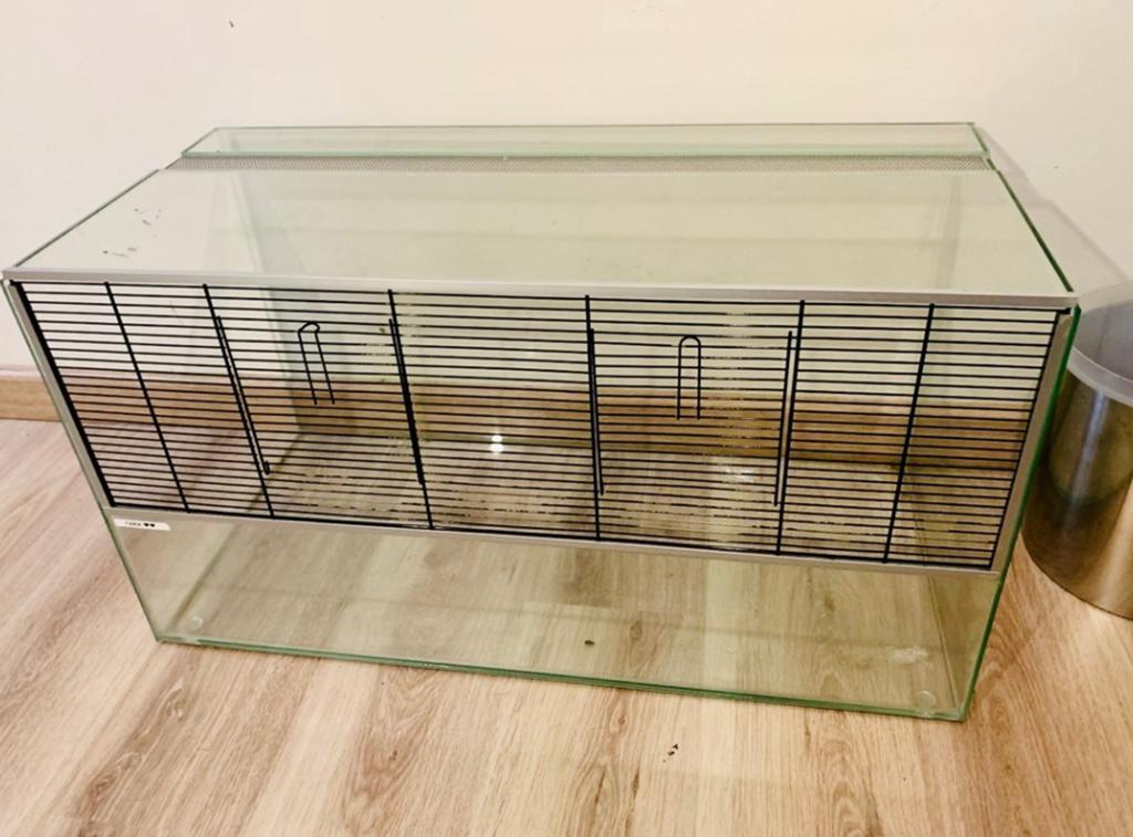 Hamster terrarium, Enlèvement, Comme neuf, Hamster