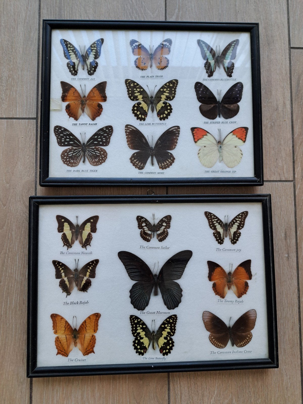 vintage kader met Vlinders, Ophalen of Verzenden