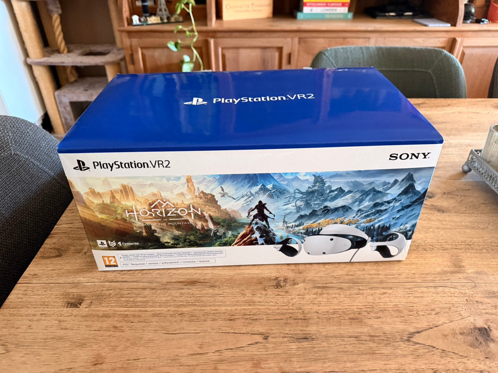 Playstation VR2, Consoles de jeu & Jeux vidéo, Virtual Reality, Enlèvement, Utilisé, Lunettes VR, Sony PlayStation